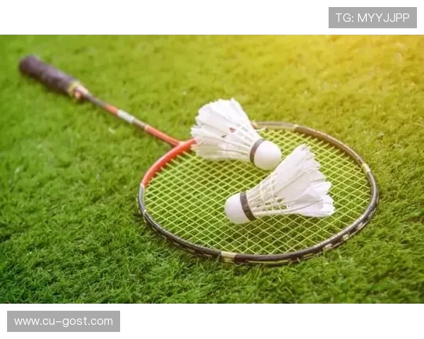 上海羽毛球队的训练与比赛节奏分析及其对羽毛球发展的影响